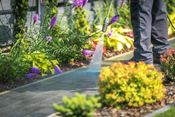 Best Gutter Cleaning  in Crestline, OH